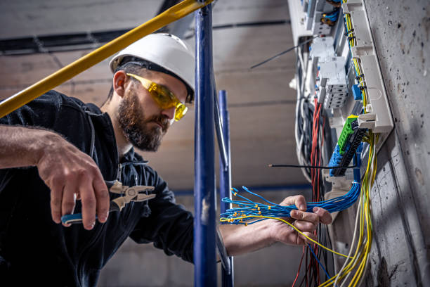 Best Electric Panel Repair  in Delta Junction, AK