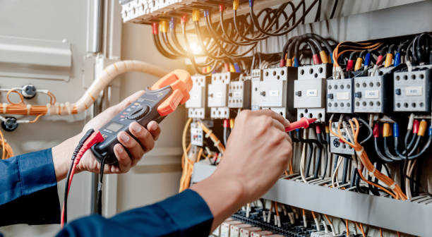 Best Home Electrical Repair  in Delta Junction, AK