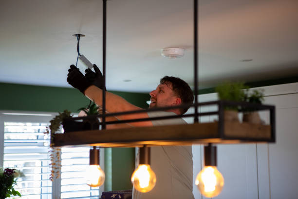 Best Electrical Installation Contractor  in Delta Junction, AK
