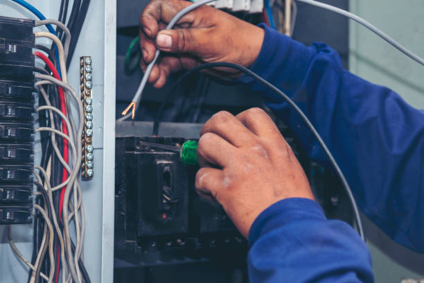 Best Electrical Upgrades for Homes  in Delta Junction, AK