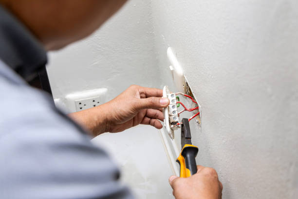Best Residential Electrician Services  in Delta Junction, AK