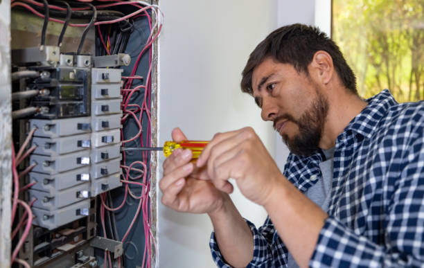 Best Electrical Troubleshooting Services  in Delta Junction, AK